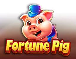 1555bet